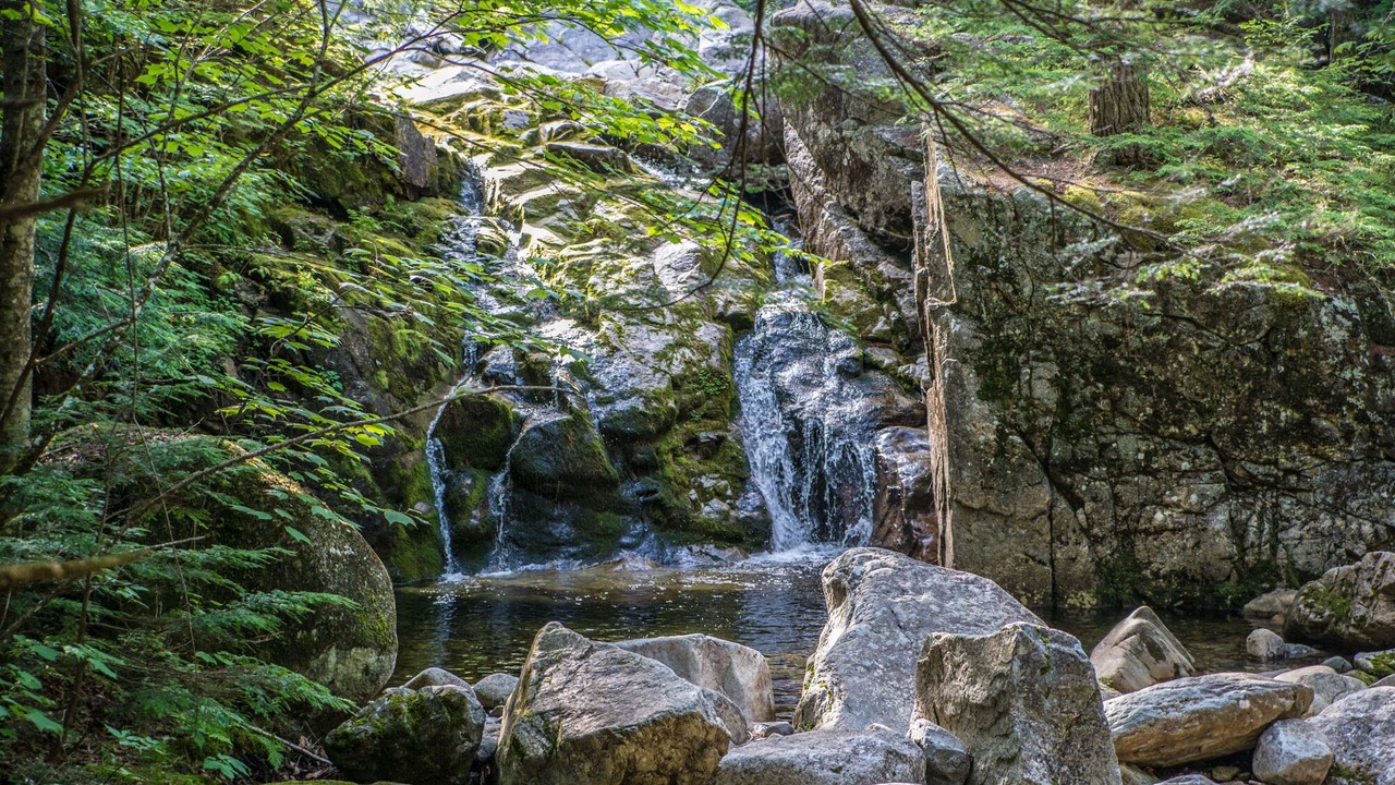 Photo of Others in Chatham