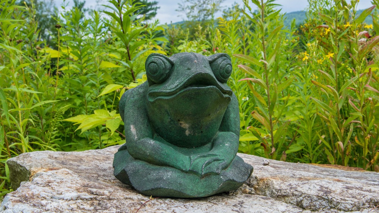 Photo of Others in Chatham