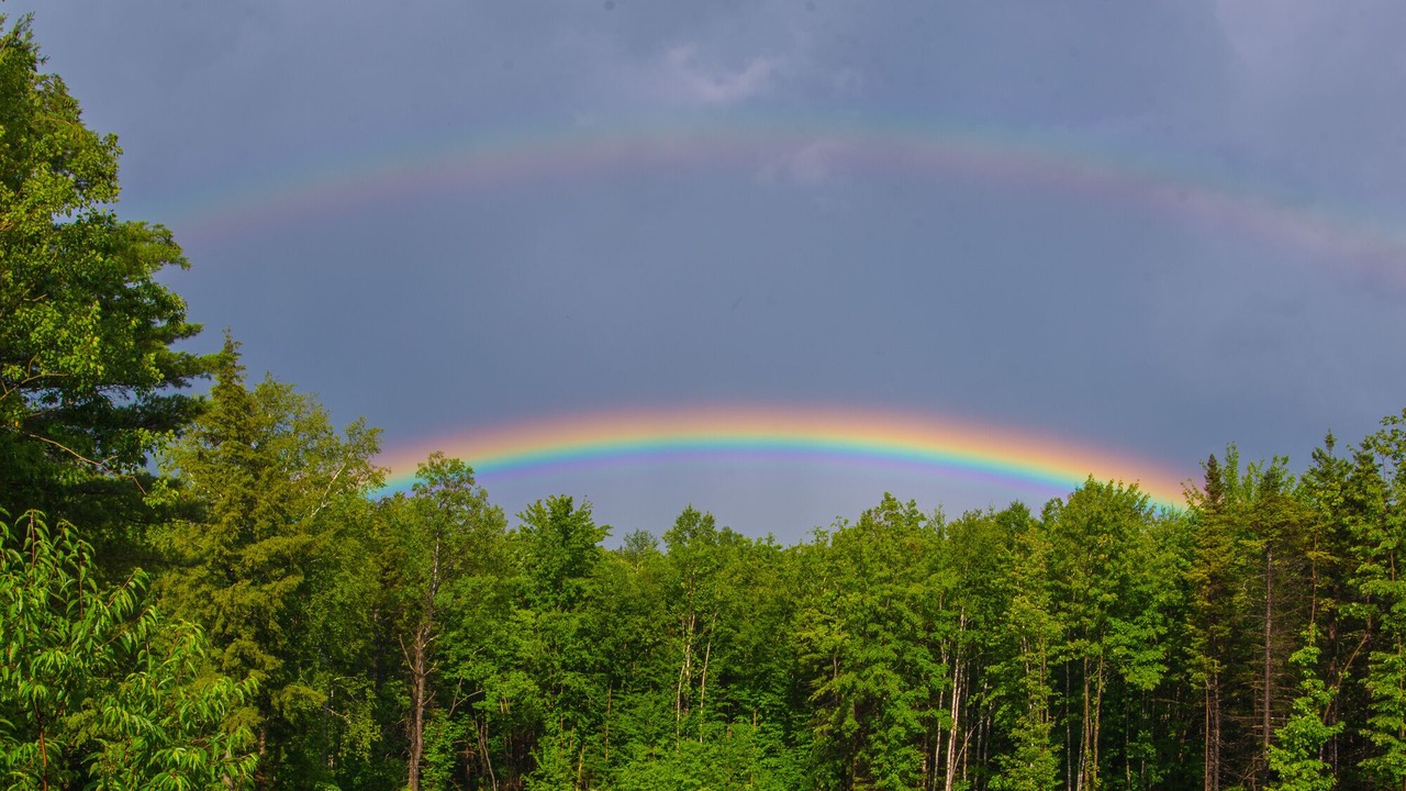 Photo of Others in Chatham