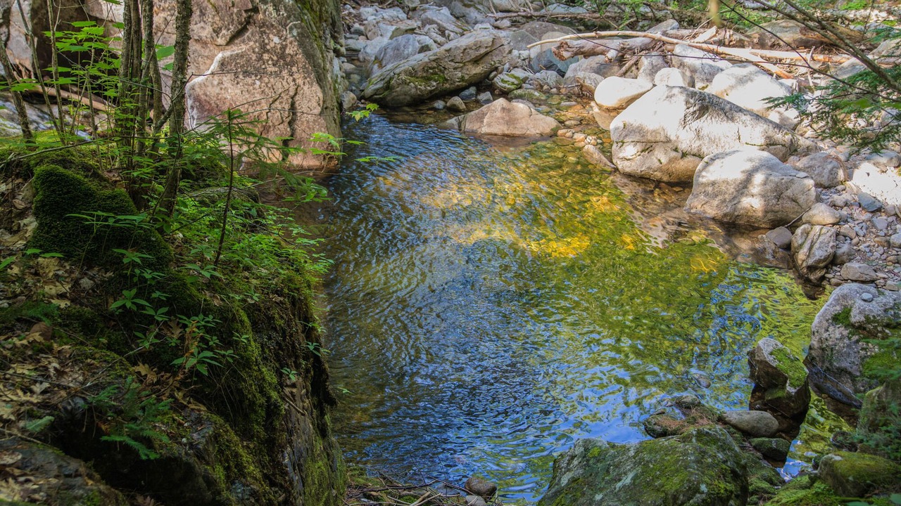 Photo of Others in Chatham