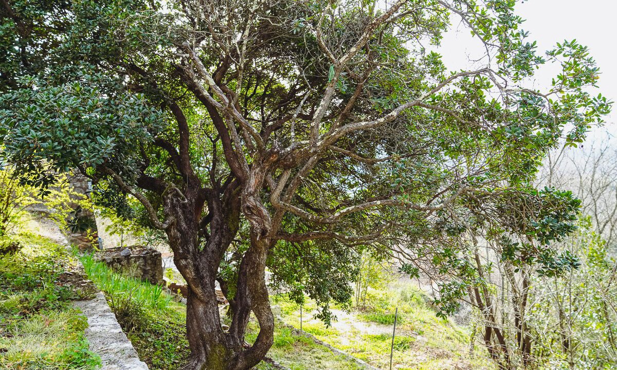 Photo of Outdoor in Vallon-Pont-d'Arc