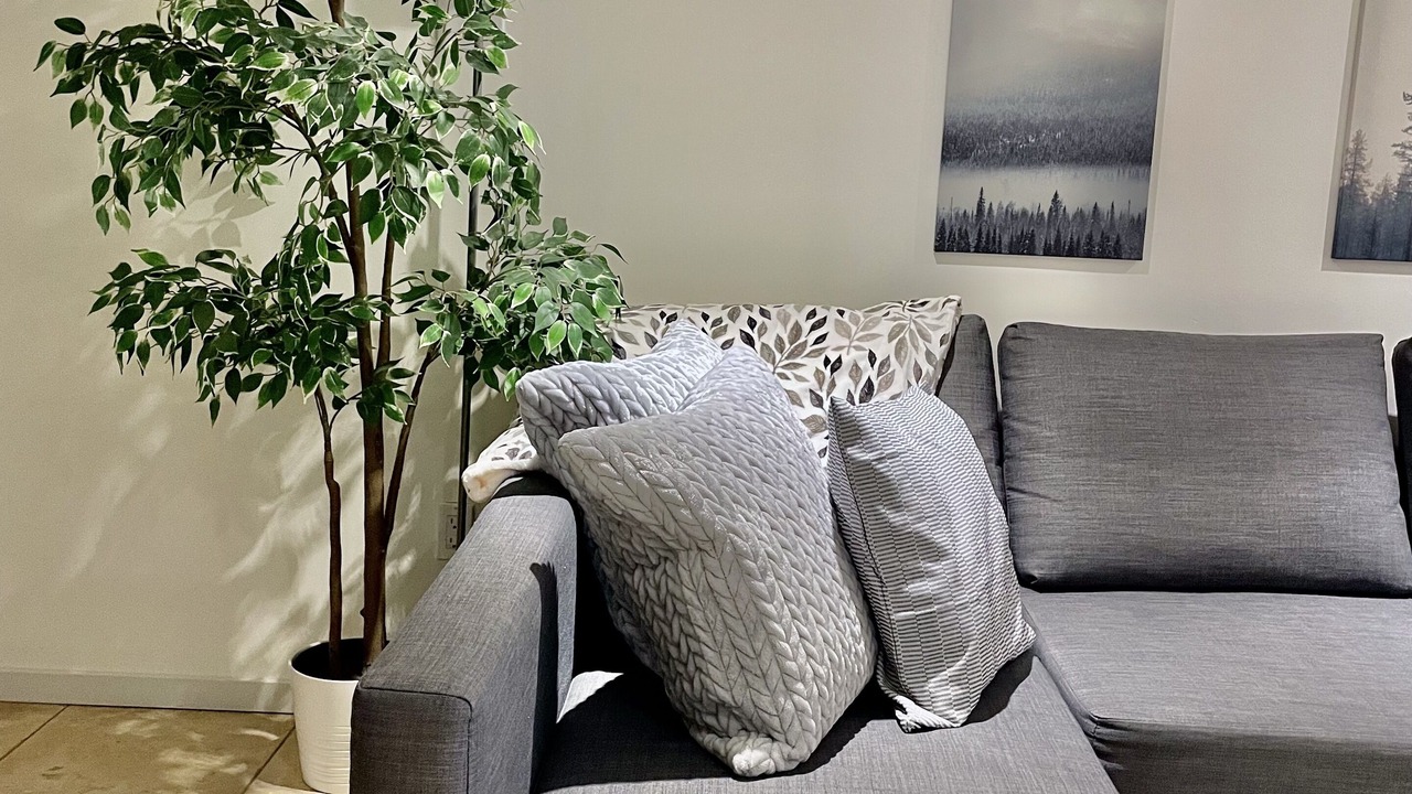 Photo of Livingroom in King West Village