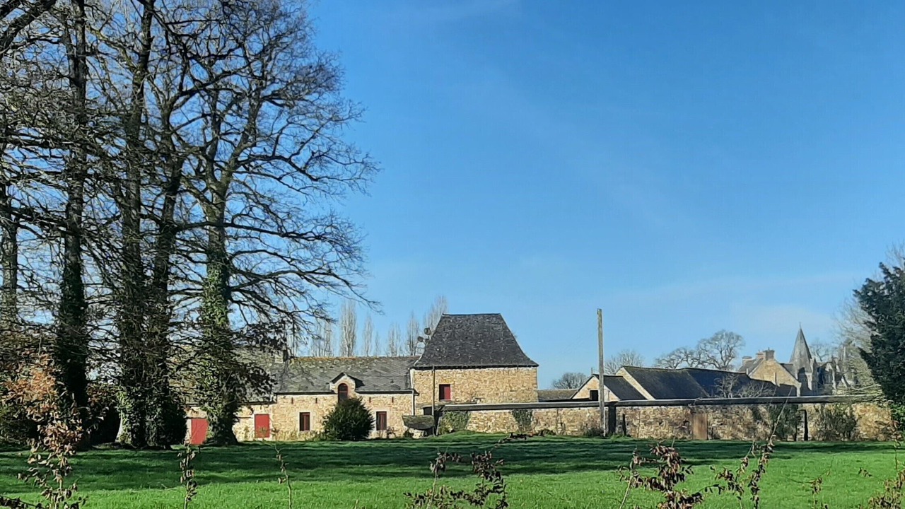 Photo of Outdoor in Taillis