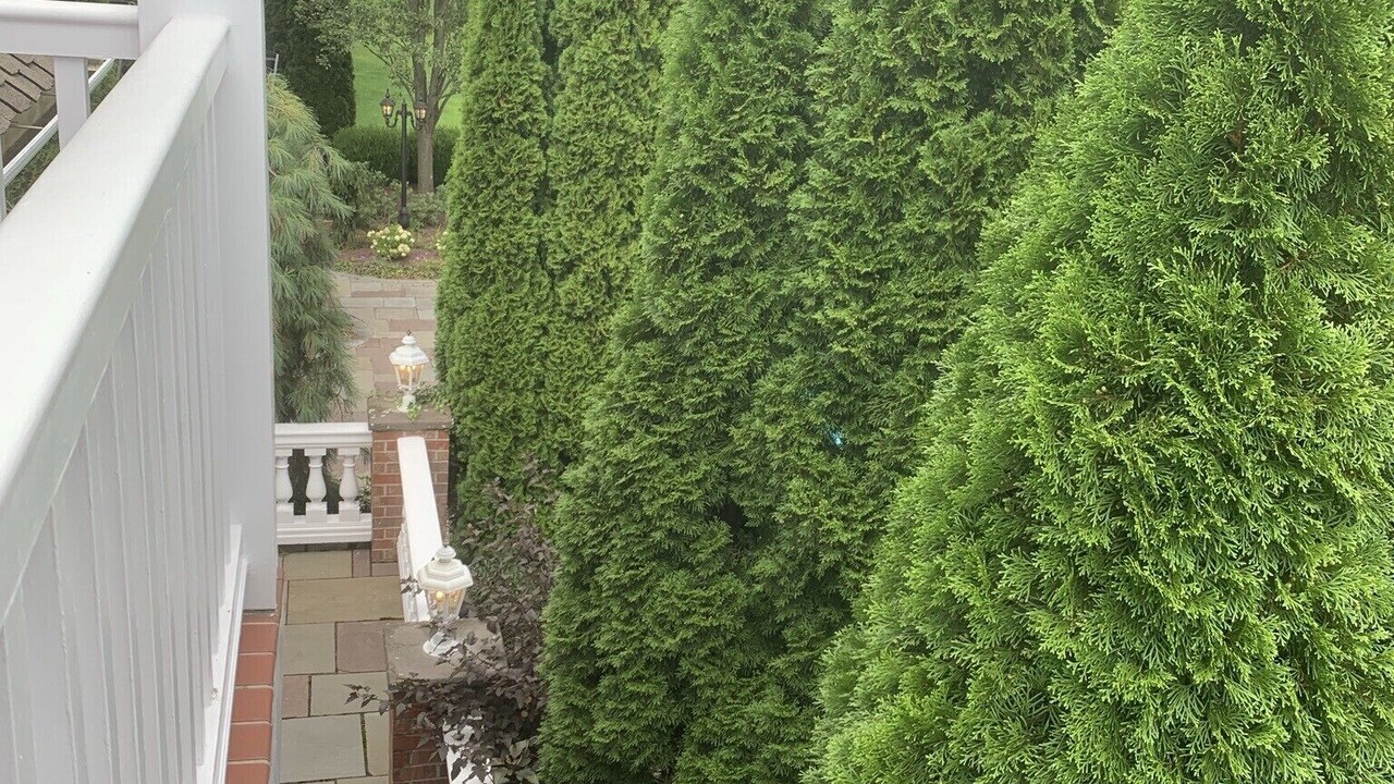 Photo of Outdoor in Dallas