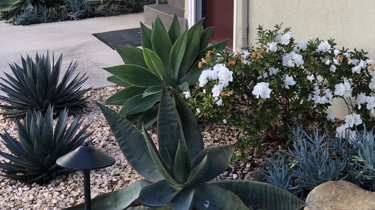 Photo of Outdoor in Upper East