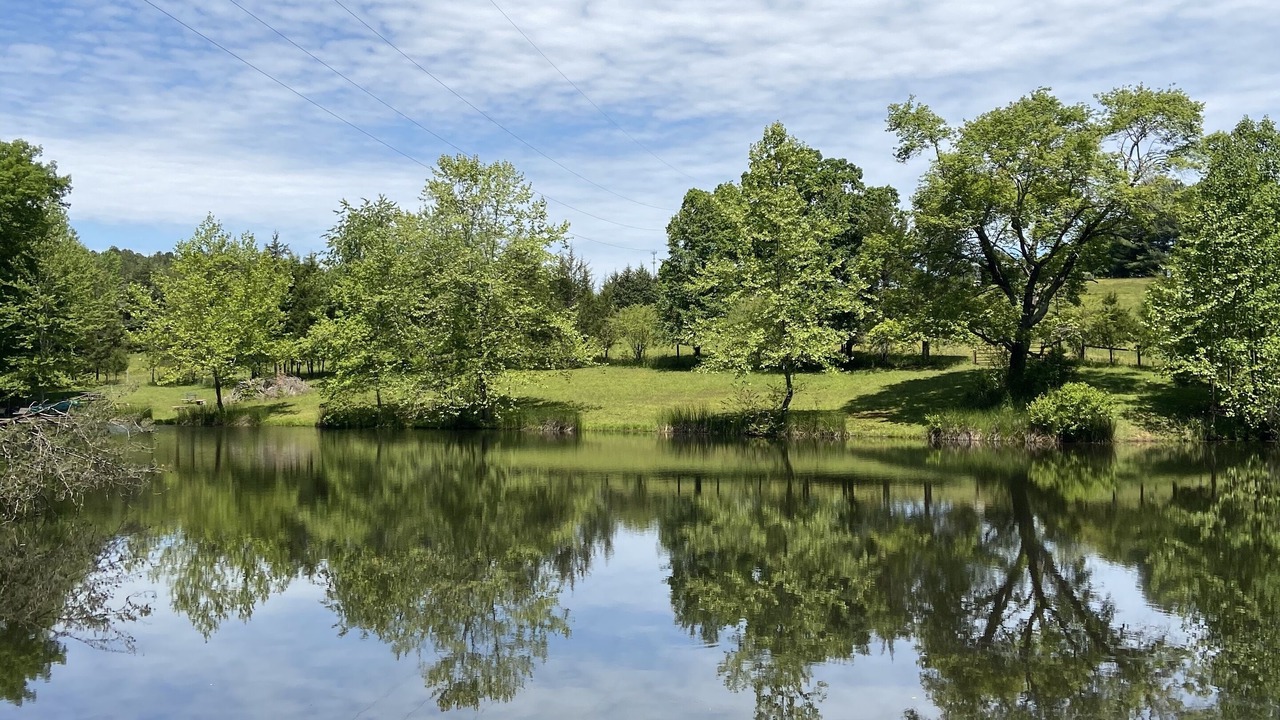 Photo of Outdoor in Scottsville