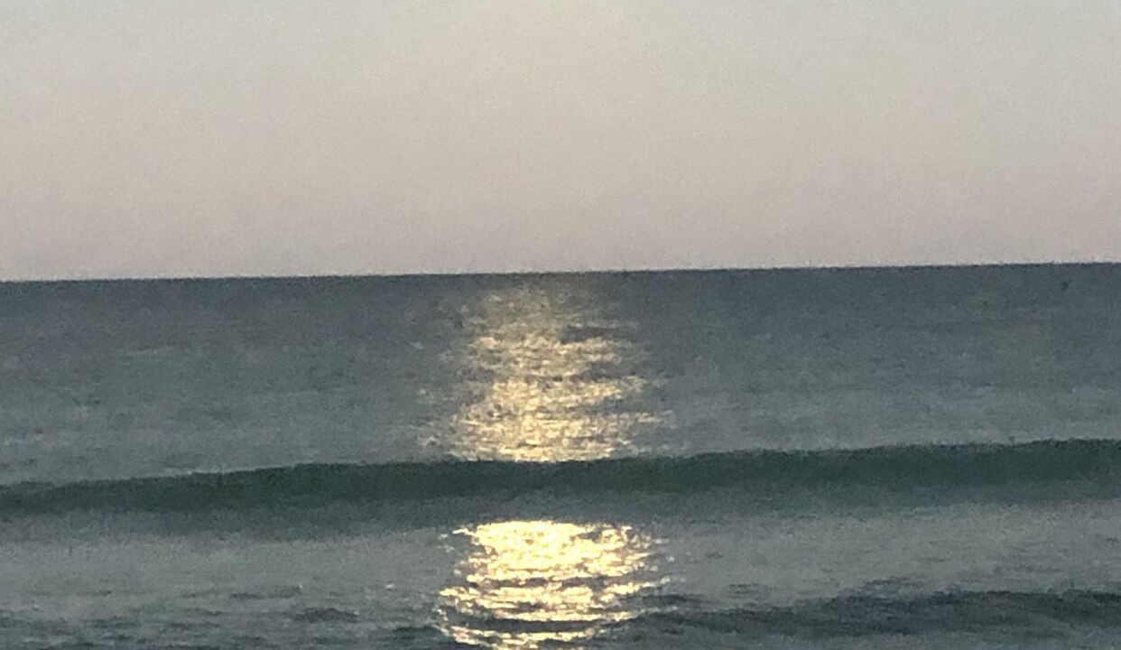 Photo of Others in New Melbourne Beach