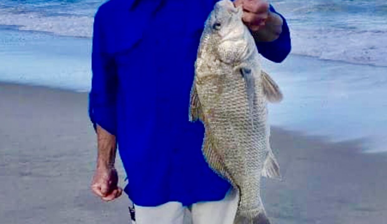 Photo of Others in New Melbourne Beach