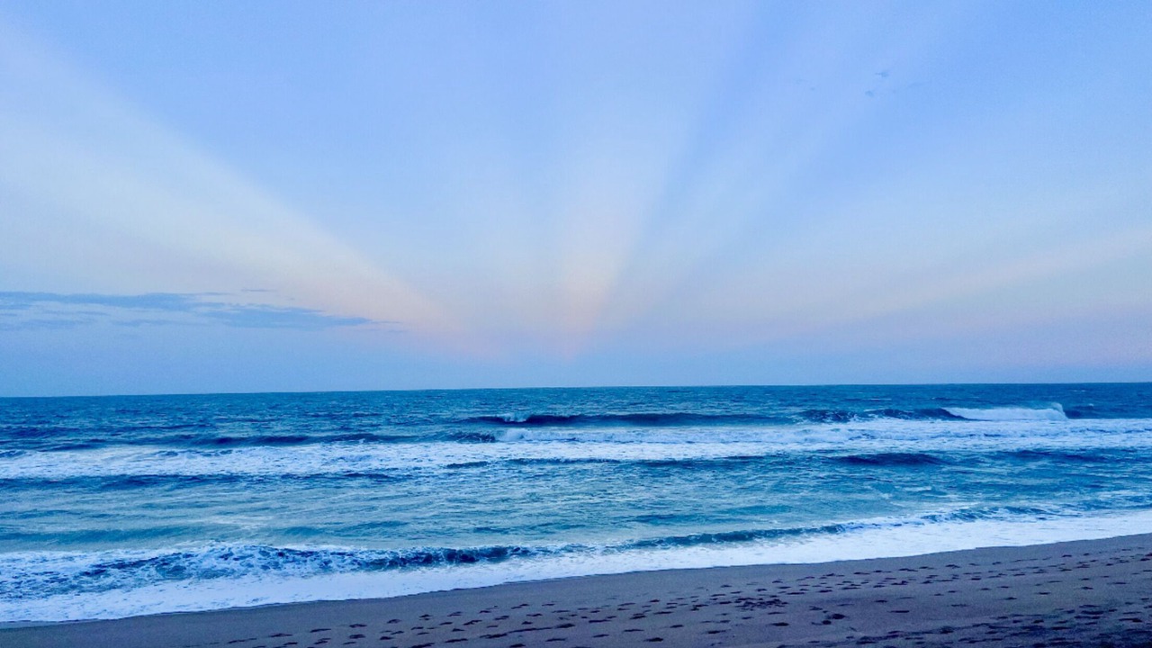 Photo of Others in New Melbourne Beach