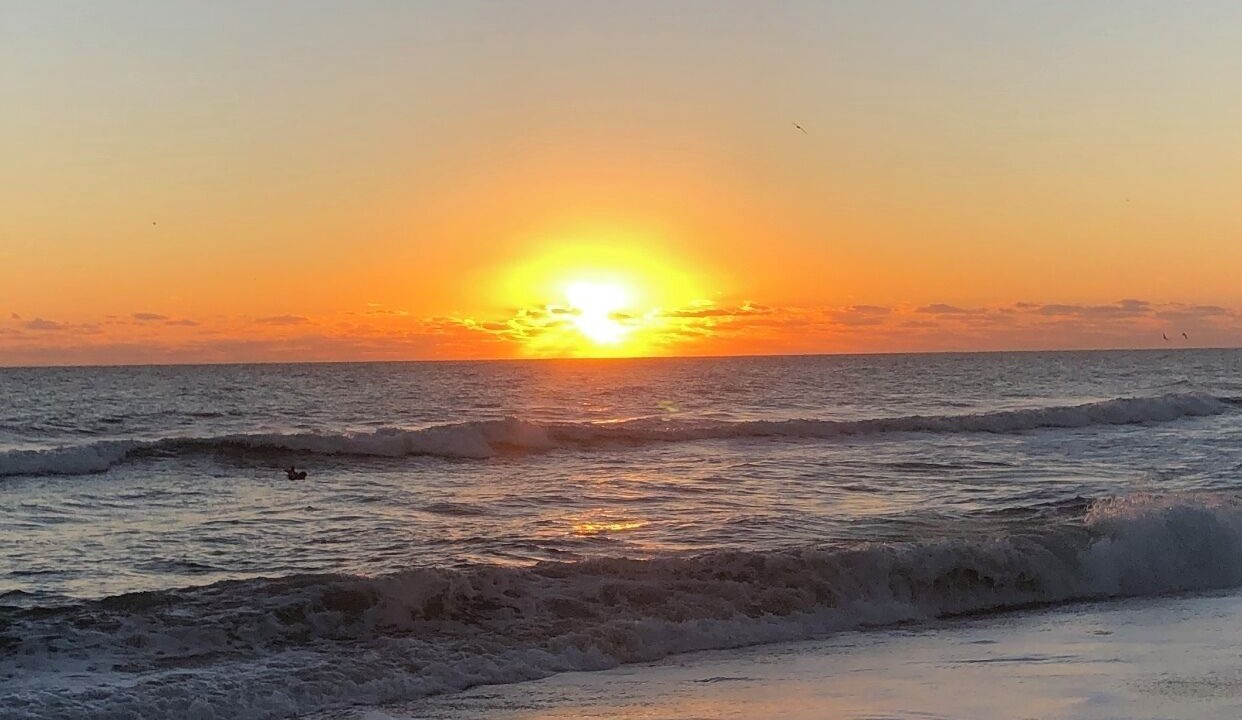 Photo of Others in New Melbourne Beach