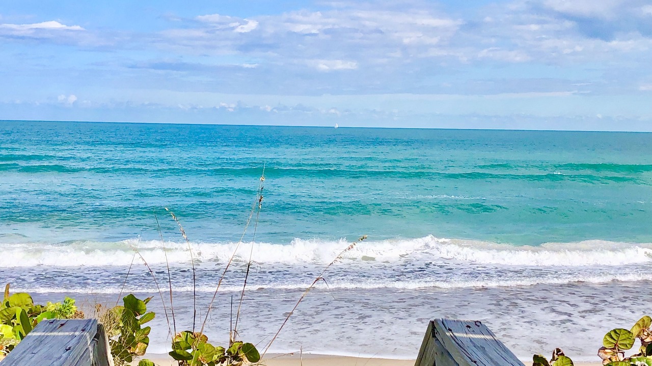 Photo of Others in New Melbourne Beach