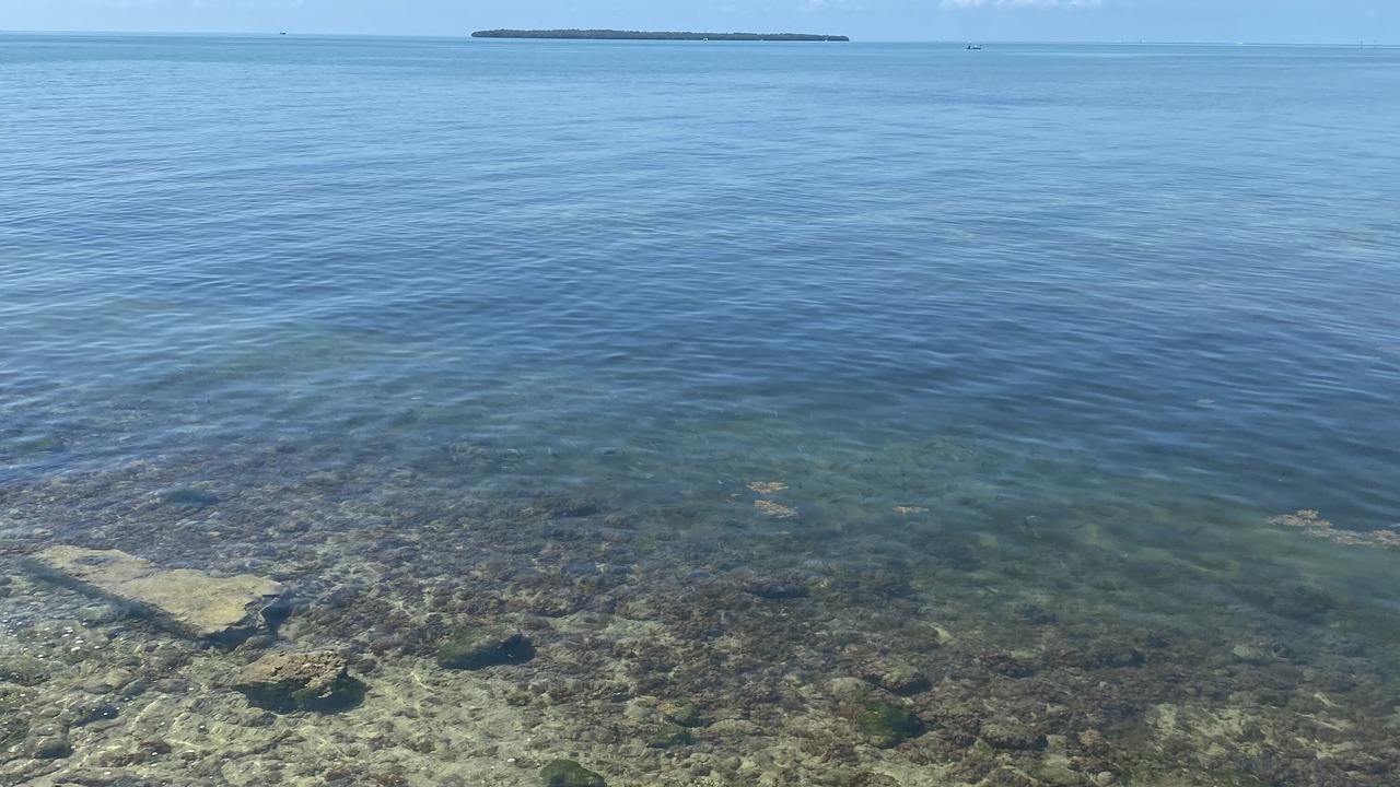 Photo of Others in Blue Harbor Club