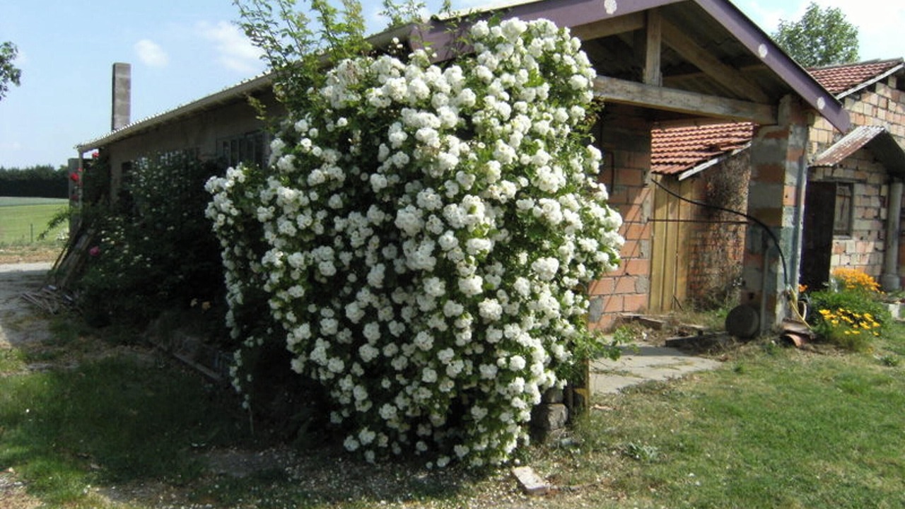Photo of Outdoor in Boudou