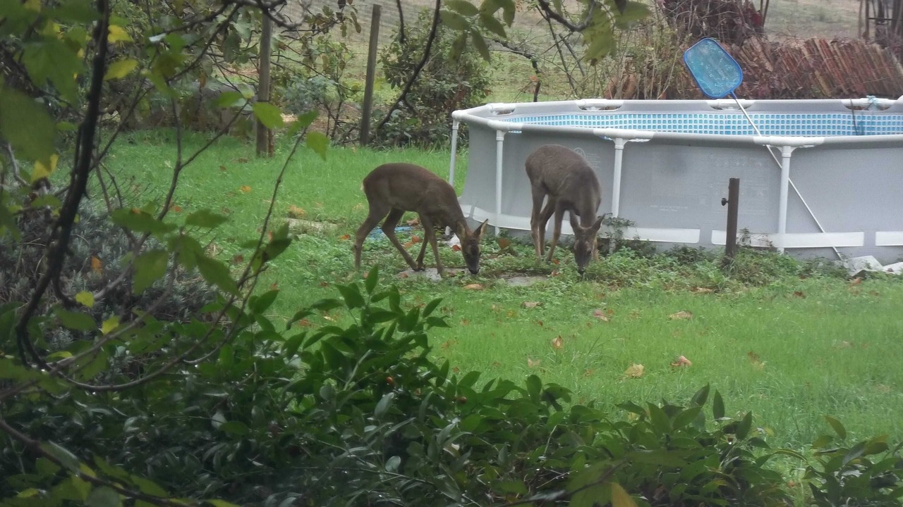 Photo of Outdoor in Boudou