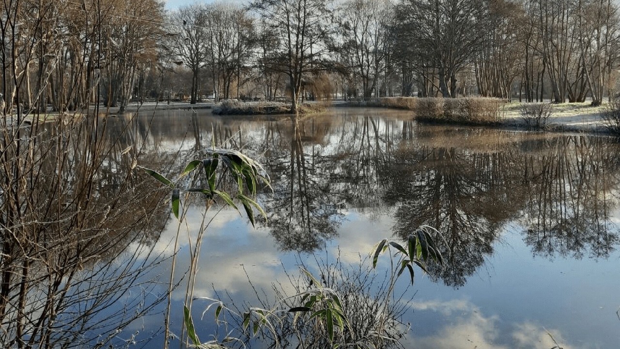 Photo of Others in Gouville-sur-Mer