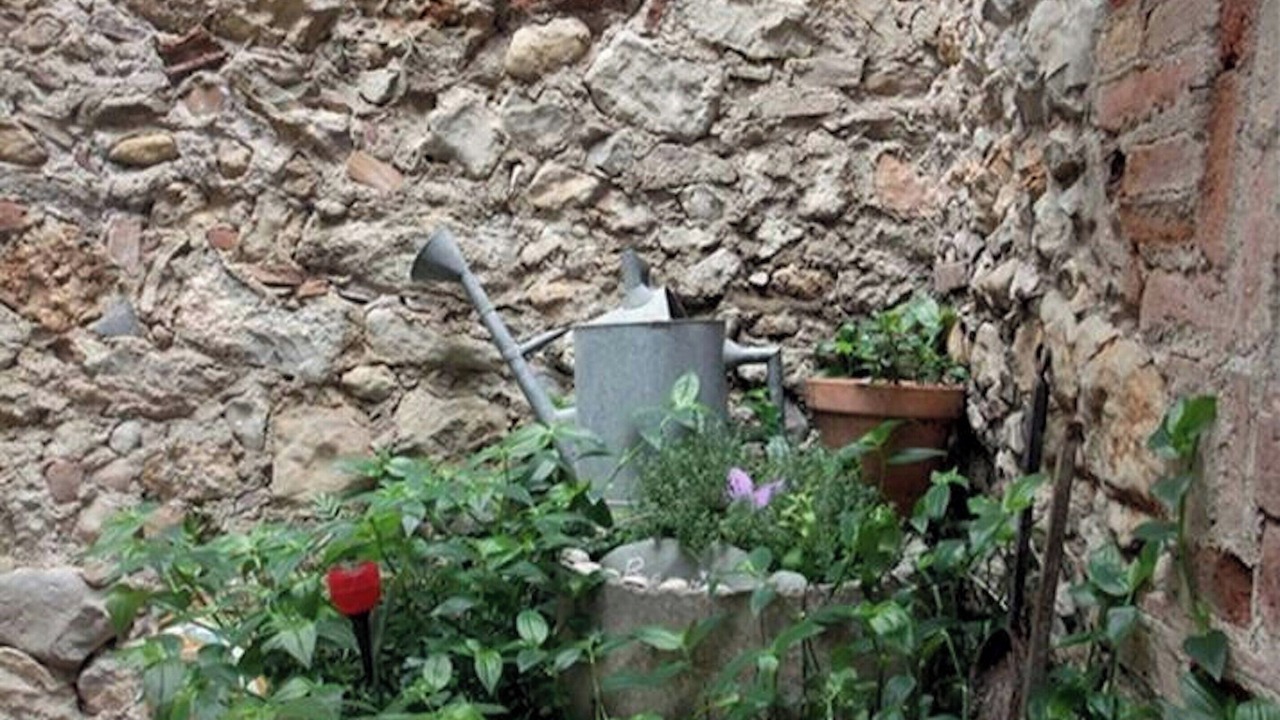 Photo of Outdoor in Bellcaire d'Emporda