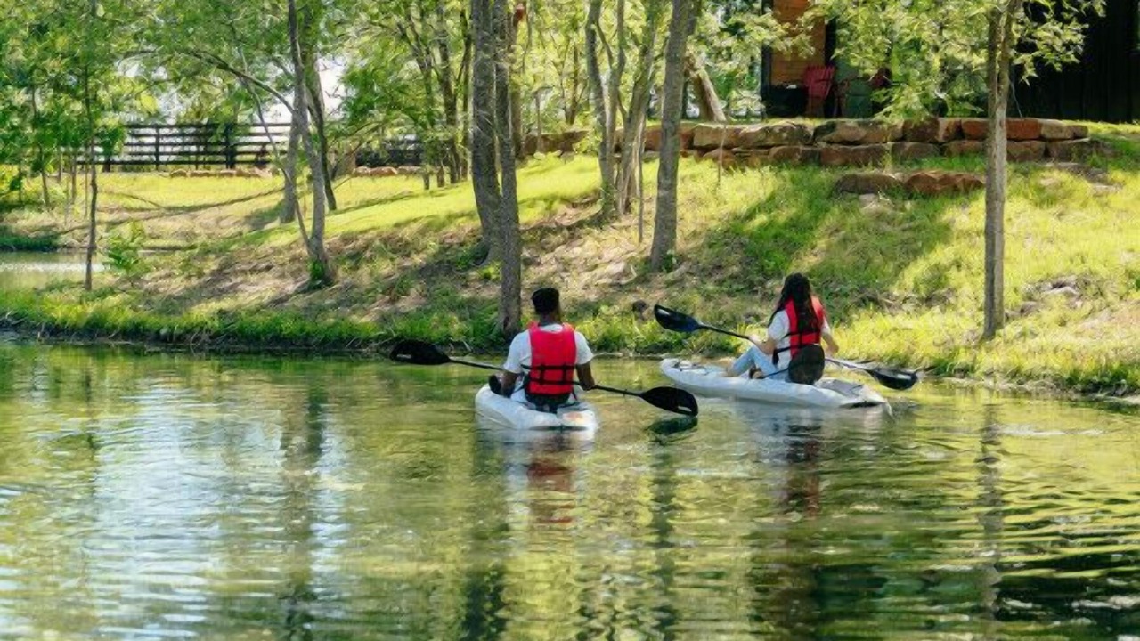 Photo of Others in Lacy-Lakeview