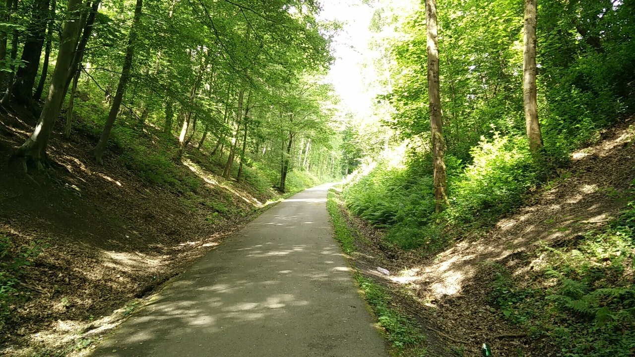 Photo of Outdoor in Serqueux