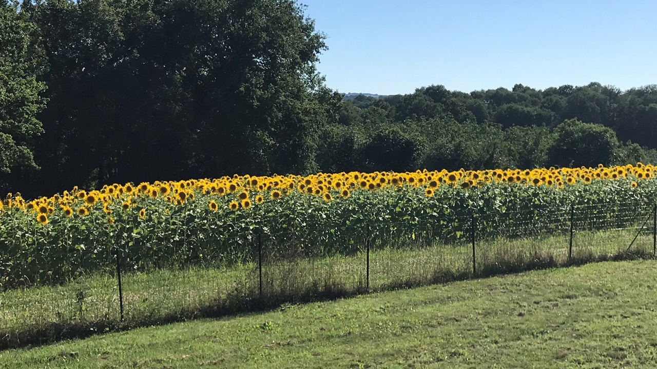 Photo of Outdoor in Baladou