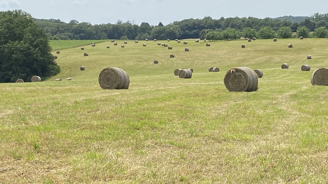 Photo of Others in Baladou