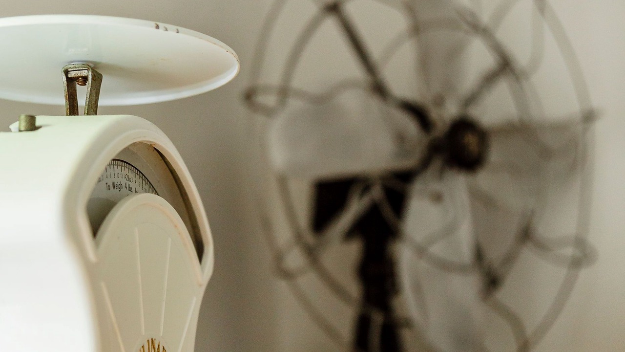 Photo of Others in Morpeth