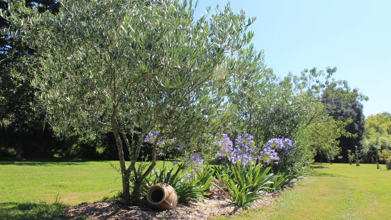 Photo of Outdoor in Carnac