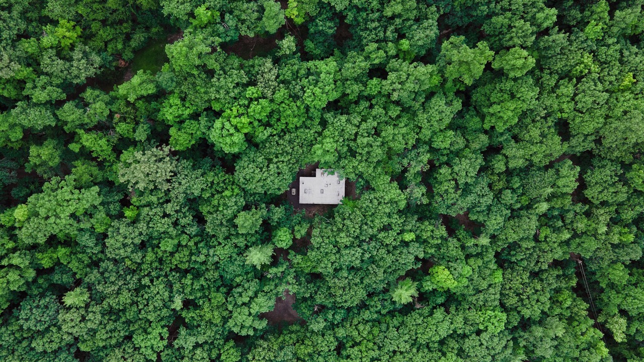 Photo of Outdoor in Woodstock