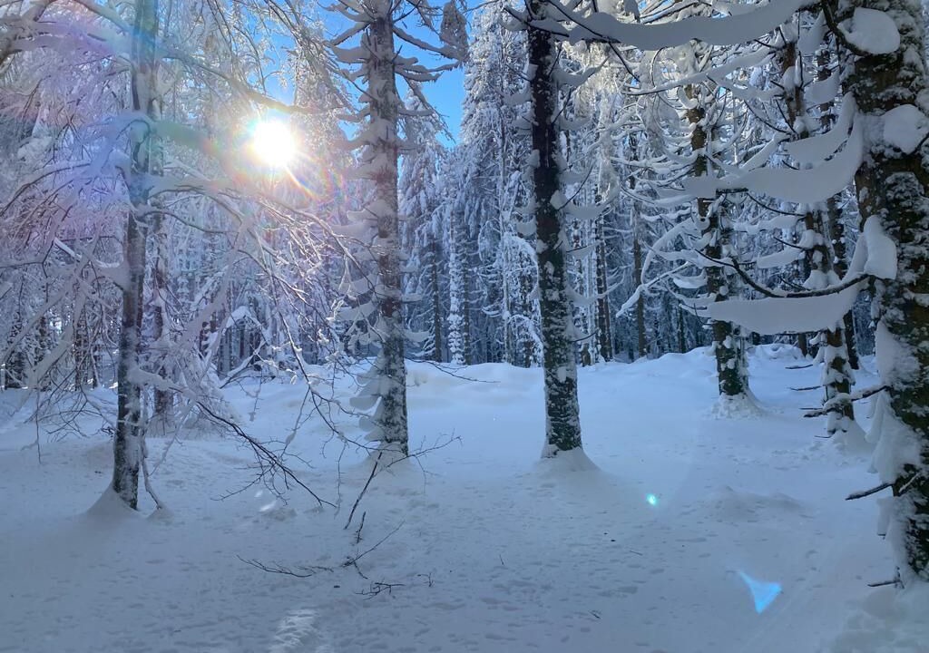 Photo of Others in Xonrupt-Longemer