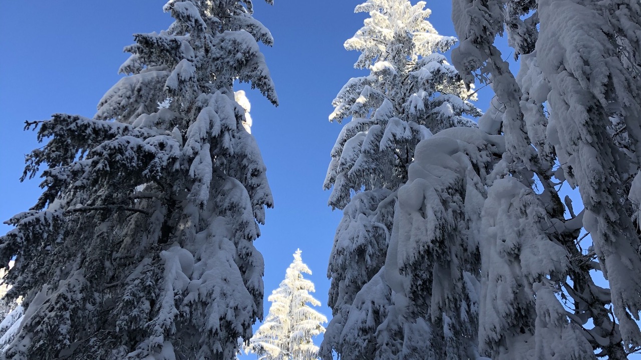 Photo of Outdoor in Xonrupt-Longemer