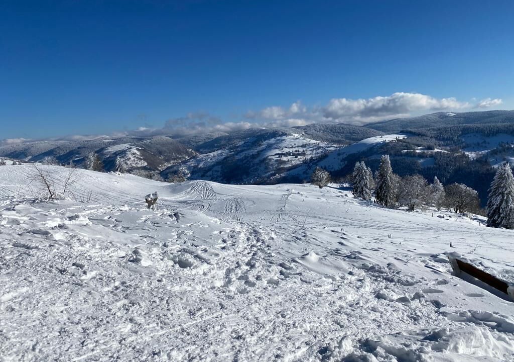 Photo of Others in Xonrupt-Longemer