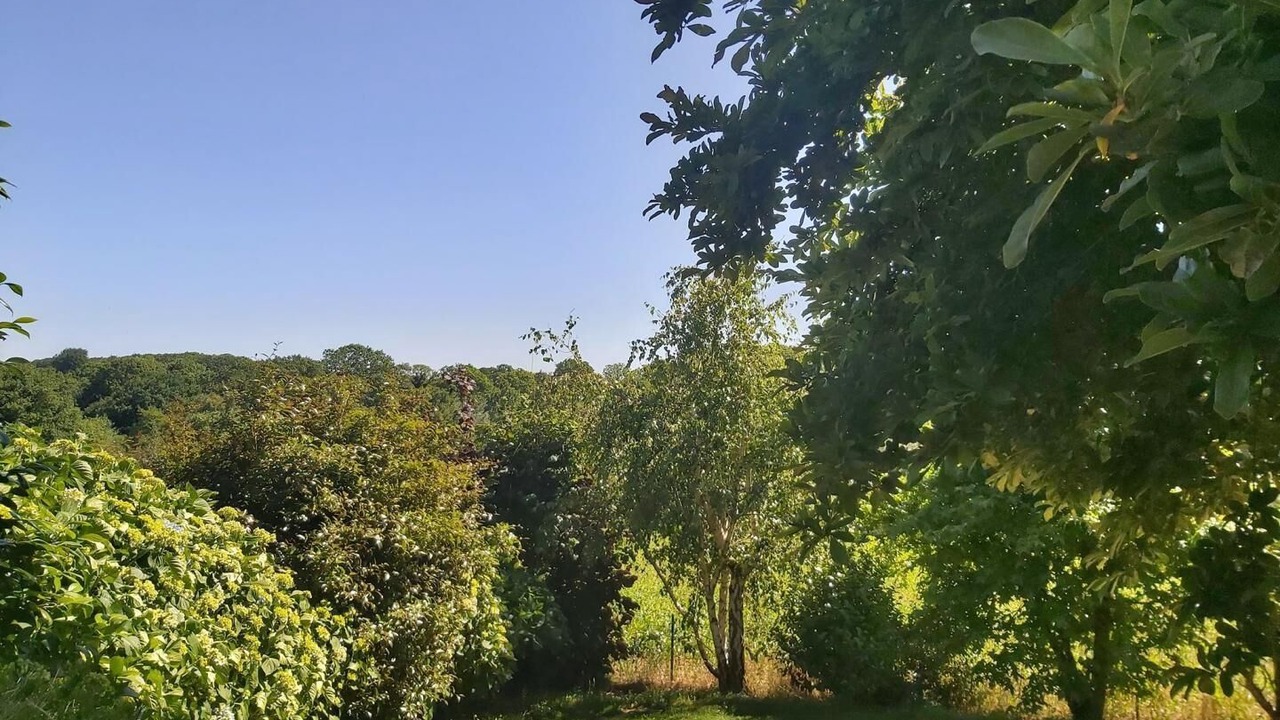 Photo of Outdoor in Limerzel