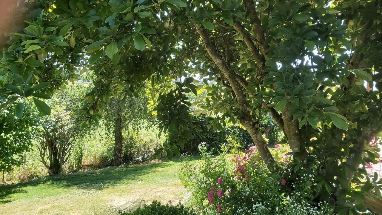 Photo of Outdoor in Limerzel