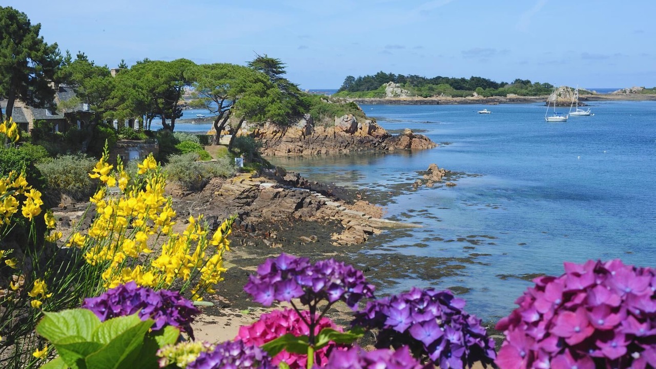 Photo of Others in Plouezec