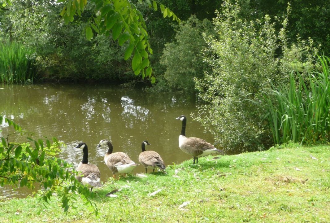 Photo of Outdoor in Cohiniac