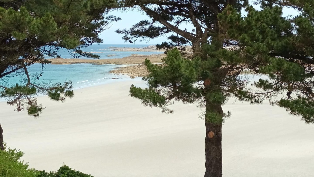 Photo of Others in Trevou-Treguignec