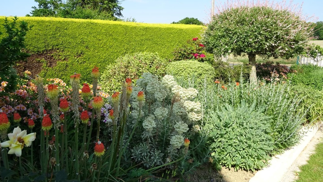 Photo of Outdoor in Evran