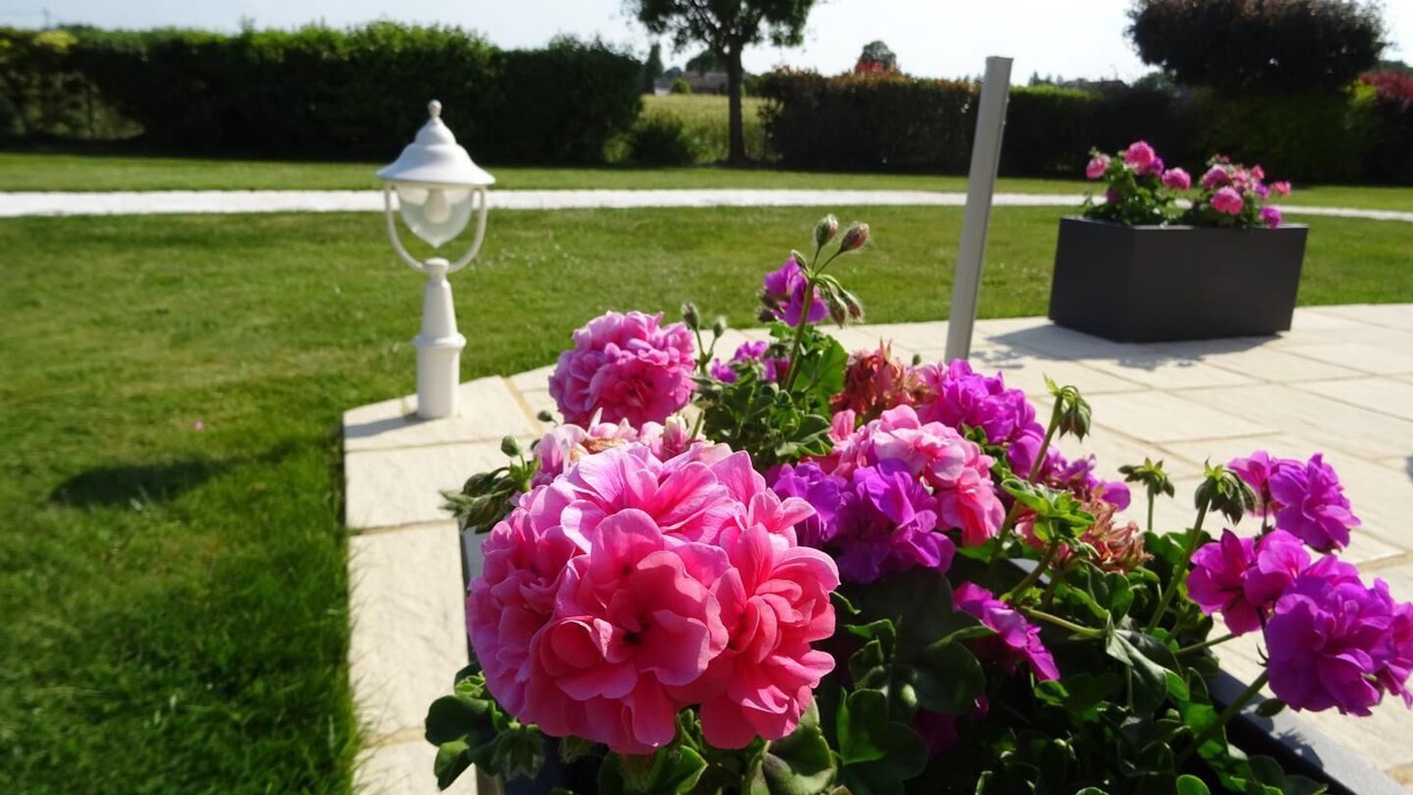 Photo of Outdoor in Evran