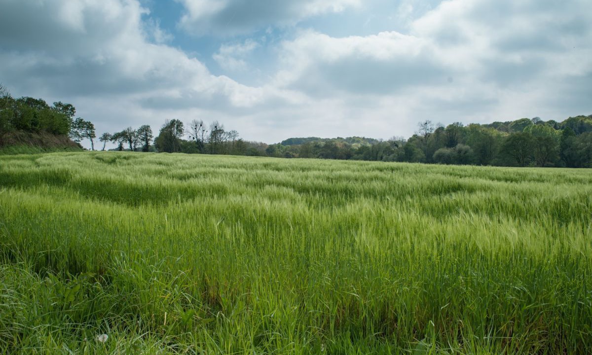 Photo of Others in Tremeven