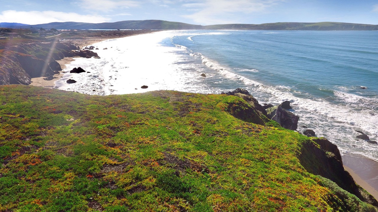 Photo of Others in Dillon Beach