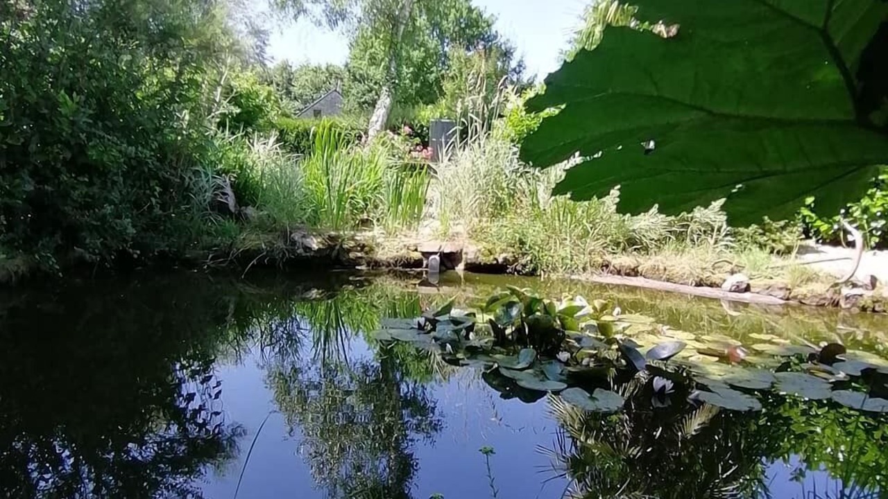 Photo of Outdoor in Parigne