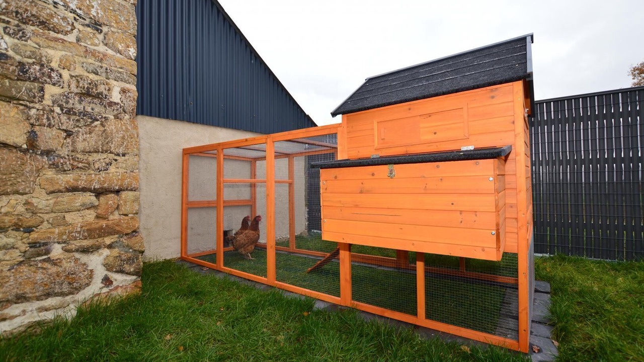 Photo of Outdoor in Visseiche