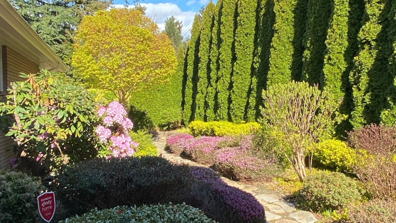 Photo of Others in Three Tree Point