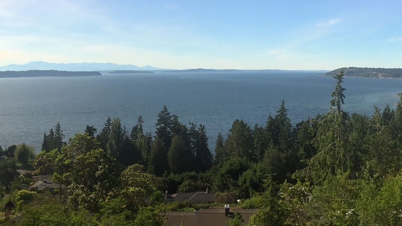 Photo of Others in Three Tree Point