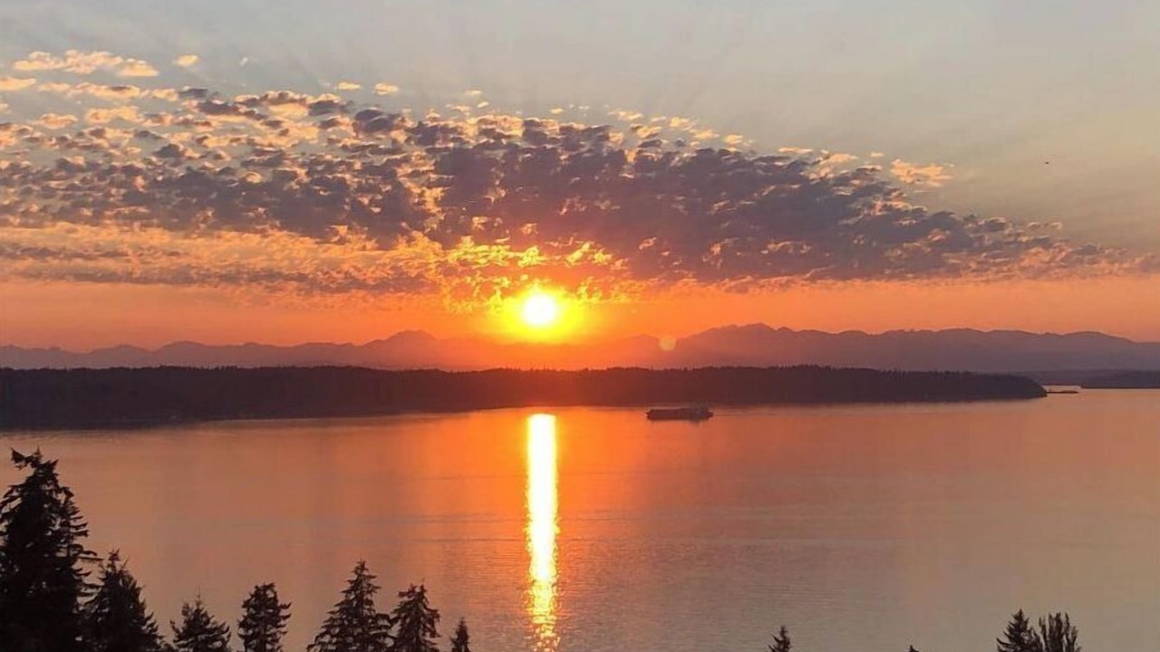 Photo of Others in Three Tree Point