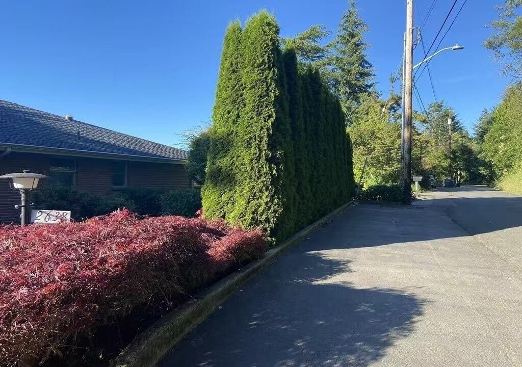 Photo of Outdoor in Three Tree Point