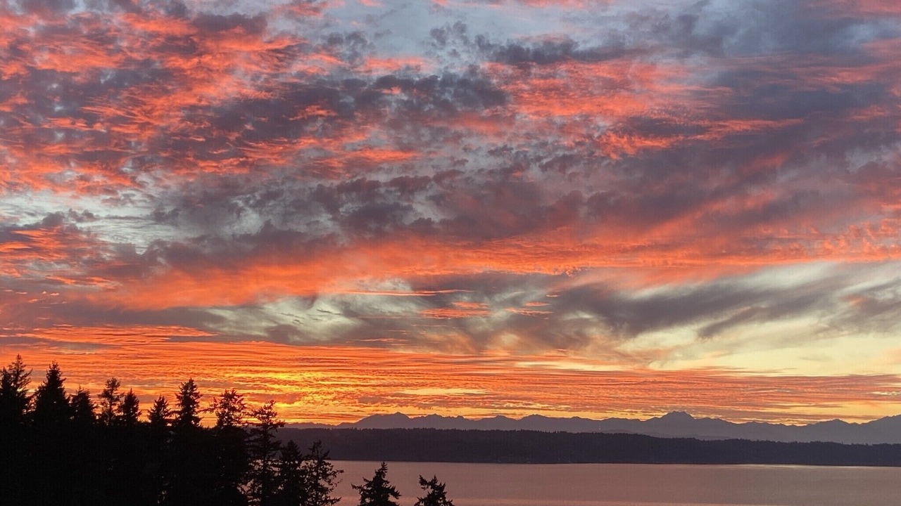 Photo of Others in Three Tree Point