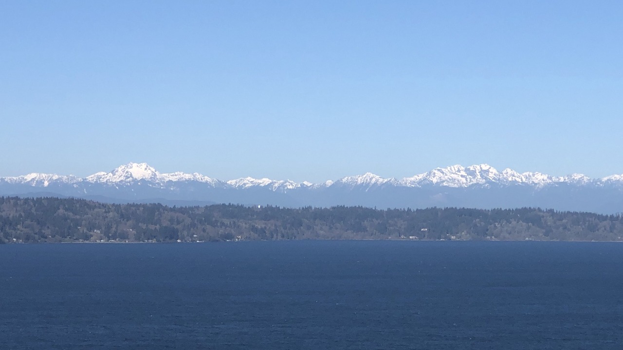 Photo of Others in Three Tree Point