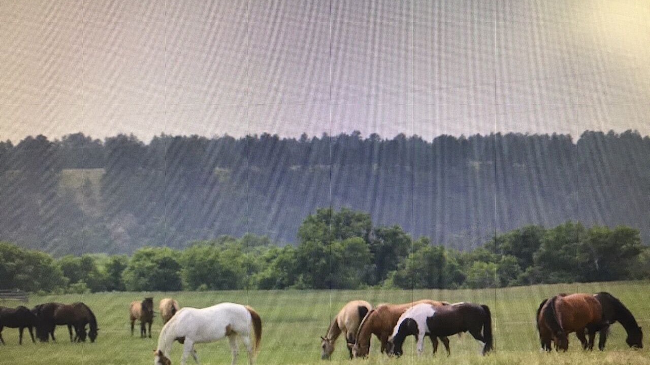 Photo of Others in Sundance