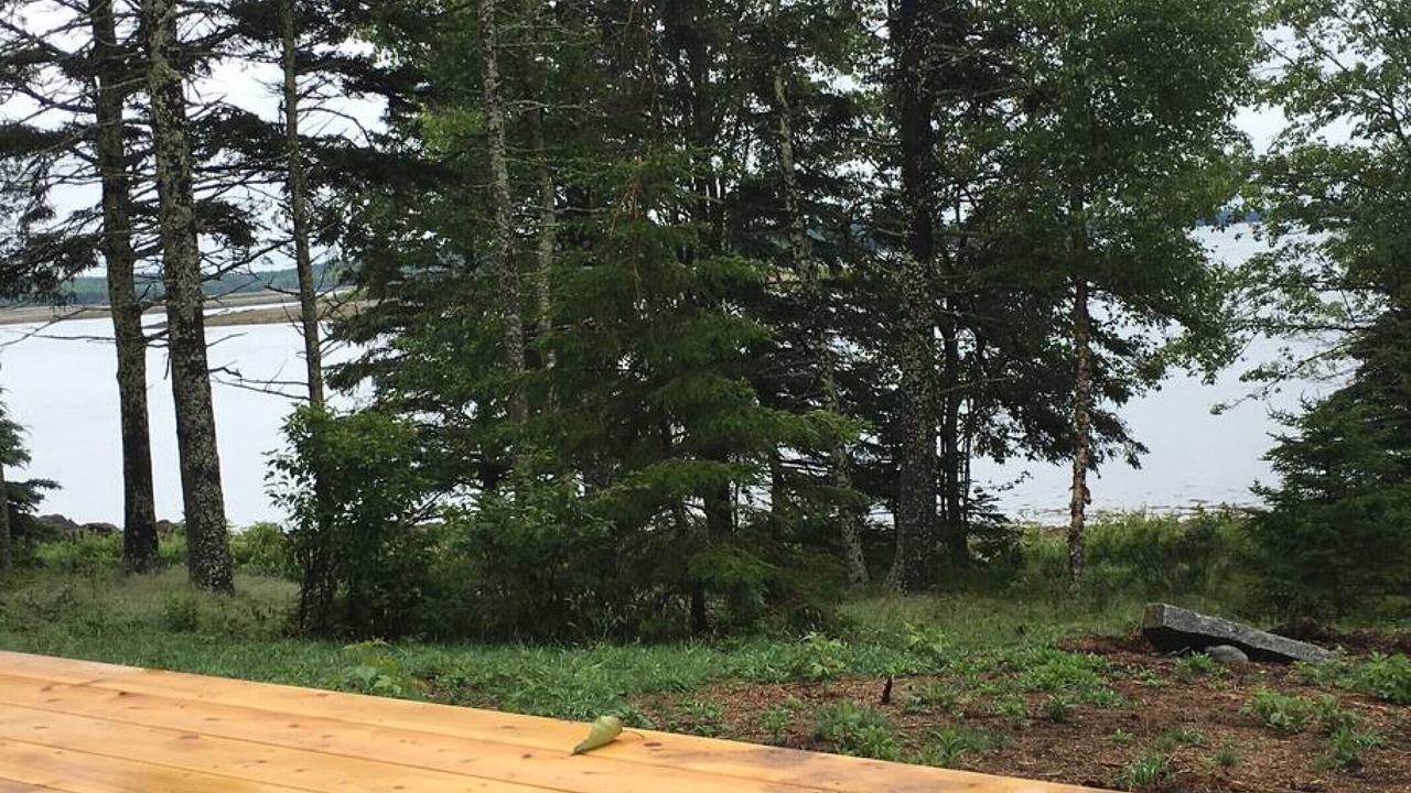Photo of Outdoor in Eastport