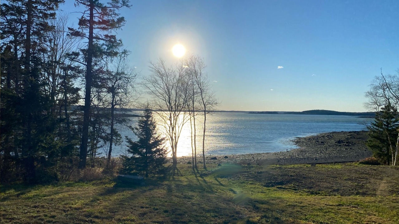 Photo of Others in Eastport